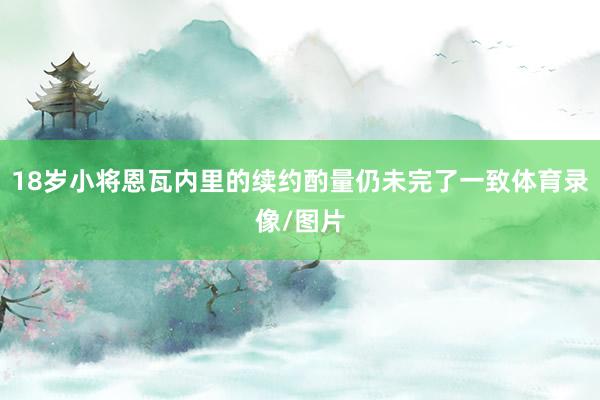 18岁小将恩瓦内里的续约酌量仍未完了一致体育录像/图片