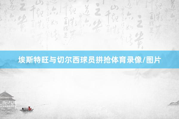 埃斯特旺与切尔西球员拼抢体育录像/图片