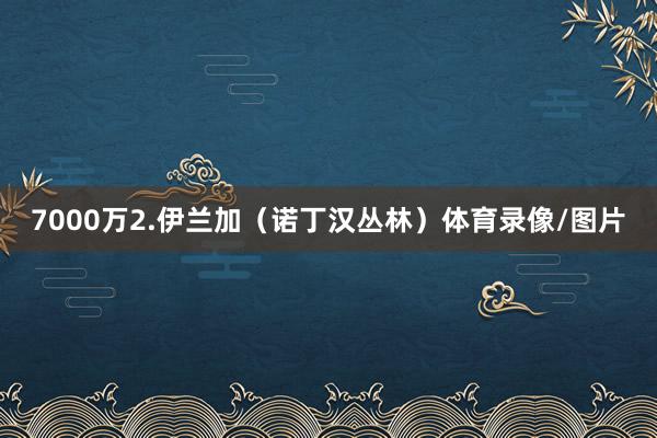 7000万2.伊兰加（诺丁汉丛林）体育录像/图片