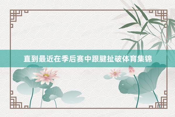 直到最近在季后赛中跟腱扯破体育集锦