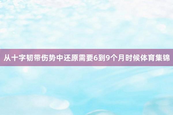 从十字韧带伤势中还原需要6到9个月时候体育集锦