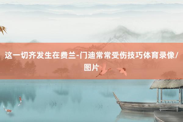这一切齐发生在费兰-门迪常常受伤技巧体育录像/图片