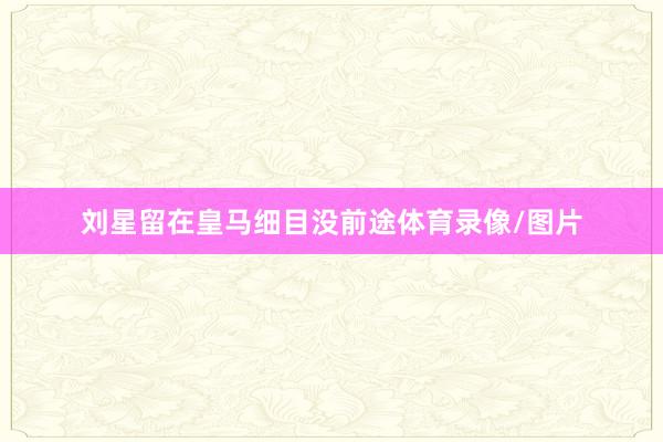 刘星留在皇马细目没前途体育录像/图片