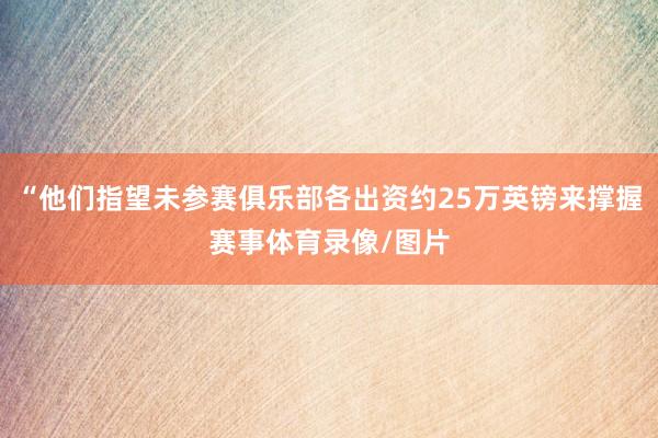 “他们指望未参赛俱乐部各出资约25万英镑来撑握赛事体育录像/图片