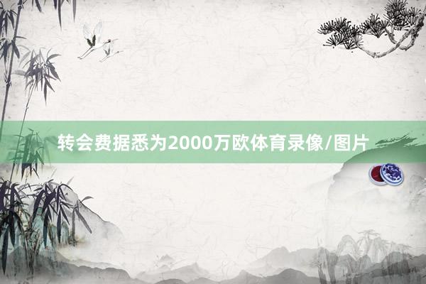 转会费据悉为2000万欧体育录像/图片