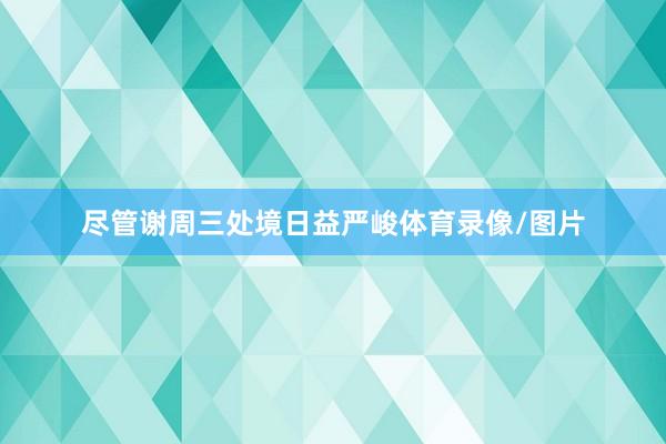 尽管谢周三处境日益严峻体育录像/图片