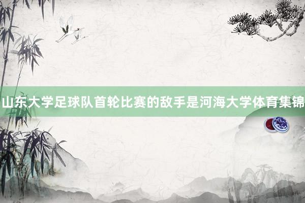 山东大学足球队首轮比赛的敌手是河海大学体育集锦