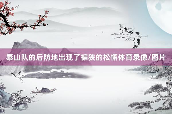 泰山队的后防地出现了褊狭的松懈体育录像/图片
