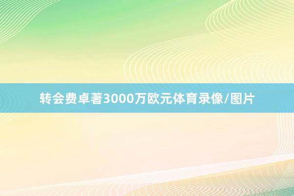转会费卓著3000万欧元体育录像/图片