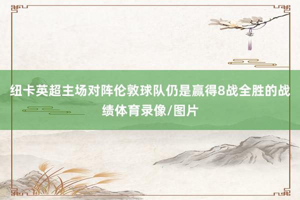 纽卡英超主场对阵伦敦球队仍是赢得8战全胜的战绩体育录像/图片