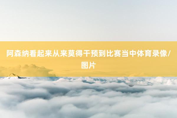 阿森纳看起来从来莫得干预到比赛当中体育录像/图片