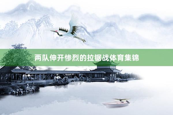 两队伸开惨烈的拉锯战体育集锦