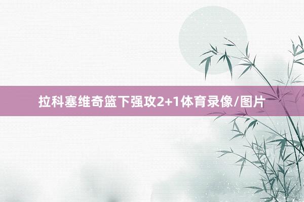 拉科塞维奇篮下强攻2+1体育录像/图片