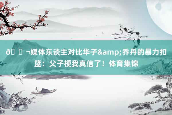 🚬媒体东谈主对比华子&乔丹的暴力扣篮：父子梗我真信了！体育集锦