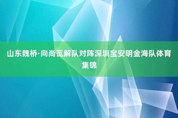 山东魏桥·向尚瓦解队对阵深圳宝安明金海队体育集锦