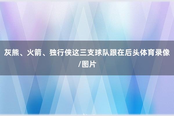 灰熊、火箭、独行侠这三支球队跟在后头体育录像/图片