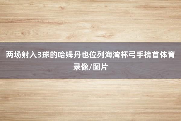 两场射入3球的哈姆丹也位列海湾杯弓手榜首体育录像/图片