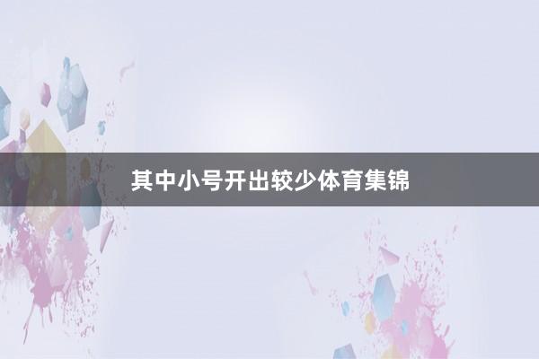 其中小号开出较少体育集锦