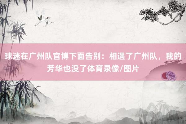 球迷在广州队官博下面告别：相遇了广州队，我的芳华也没了体育录像/图片