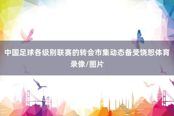 中国足球各级别联赛的转会市集动态备受饶恕体育录像/图片