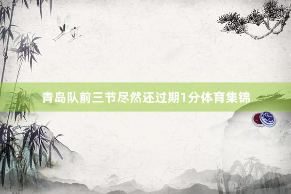 青岛队前三节尽然还过期1分体育集锦