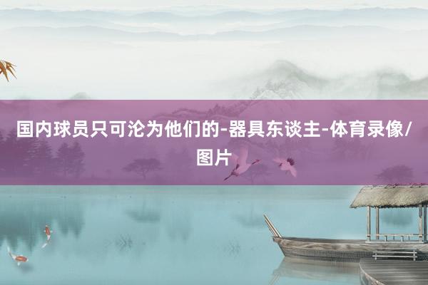 国内球员只可沦为他们的-器具东谈主-体育录像/图片