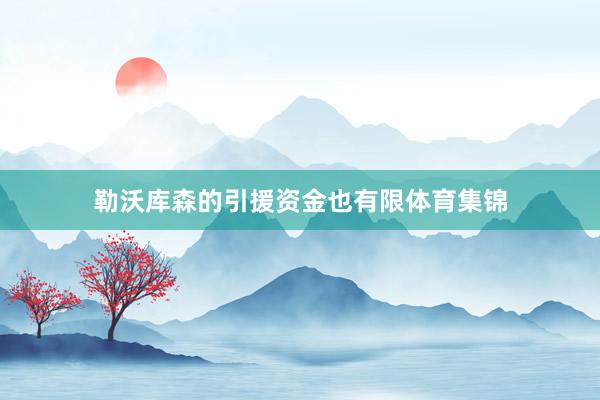 勒沃库森的引援资金也有限体育集锦