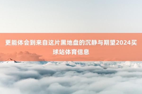 更能体会到来自这片黑地盘的沉静与期望2024买球站体育信息