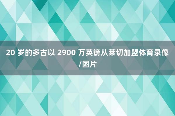 20 岁的多古以 2900 万英镑从莱切加盟体育录像/图片