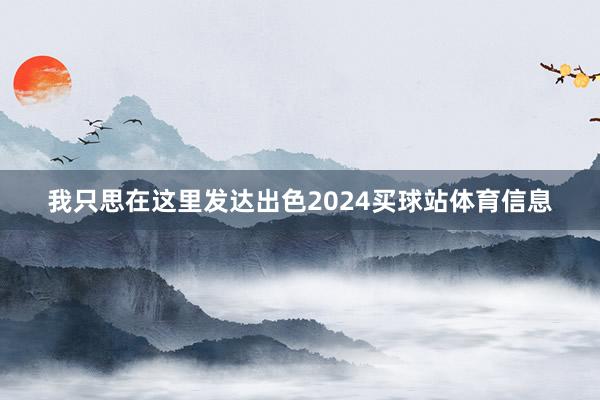 我只思在这里发达出色2024买球站体育信息