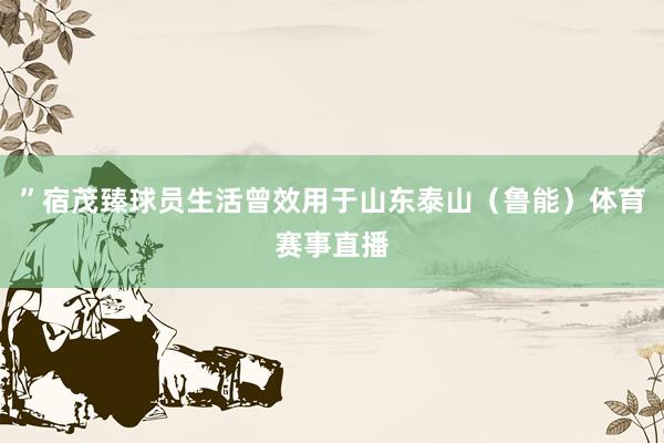 ”宿茂臻球员生活曾效用于山东泰山（鲁能）体育赛事直播