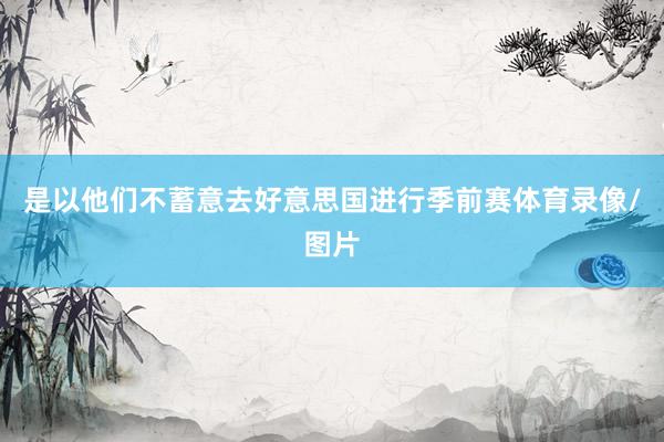 是以他们不蓄意去好意思国进行季前赛体育录像/图片