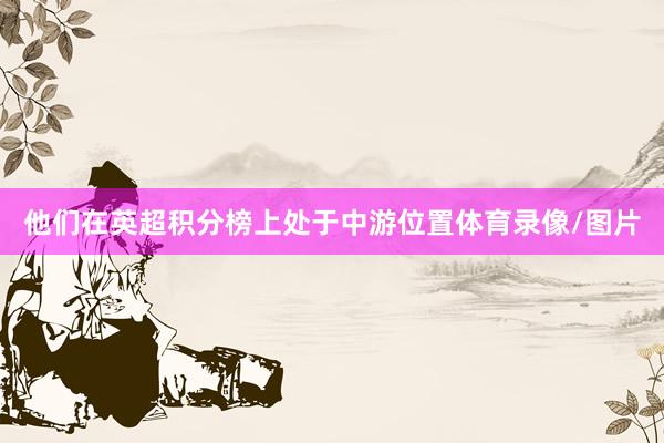 他们在英超积分榜上处于中游位置体育录像/图片
