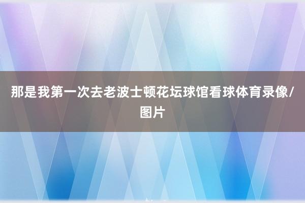那是我第一次去老波士顿花坛球馆看球体育录像/图片
