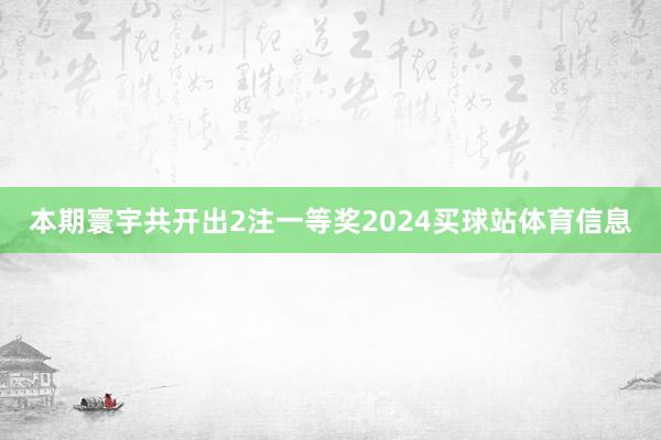 本期寰宇共开出2注一等奖2024买球站体育信息