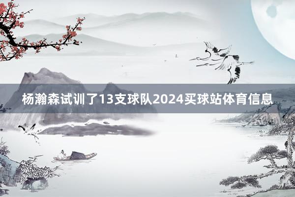 杨瀚森试训了13支球队2024买球站体育信息