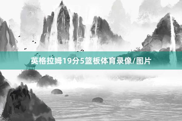 英格拉姆19分5篮板体育录像/图片