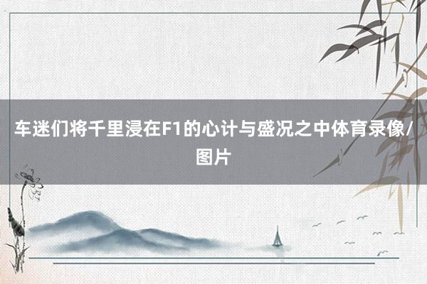 车迷们将千里浸在F1的心计与盛况之中体育录像/图片