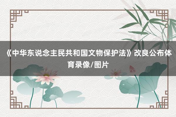 《中华东说念主民共和国文物保护法》改良公布体育录像/图片